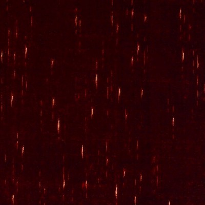 Scalamandre GRAN CONDE UNITO ROUGE