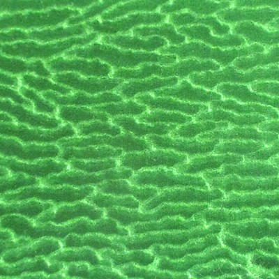 Scalamandre ERACLE GOFFRATO VERDE