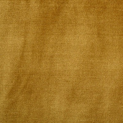 Scalamandre AMUR OCRA