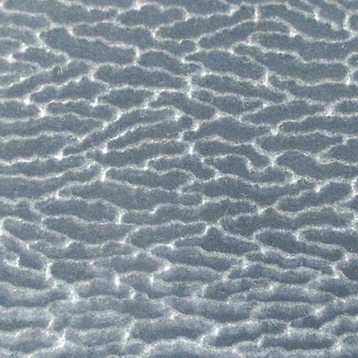 Scalamandre ERACLE GOFFRATO PIOMBO