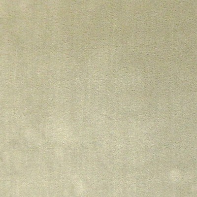 Scalamandre ERACLE ELEFANTE