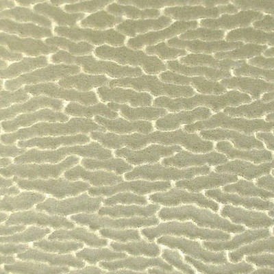 Scalamandre ERACLE GOFFRATO ELEFANTE