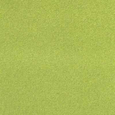 Scalamandre ARGO MUSCHIO