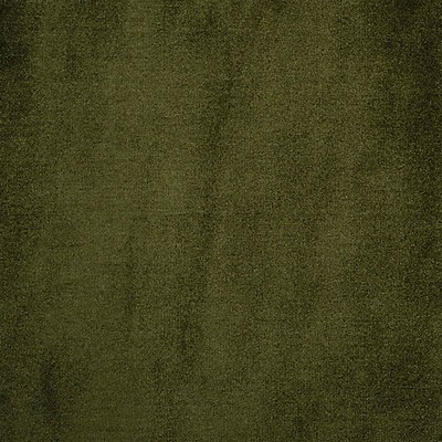 Scalamandre AMUR VERDE PALUDE