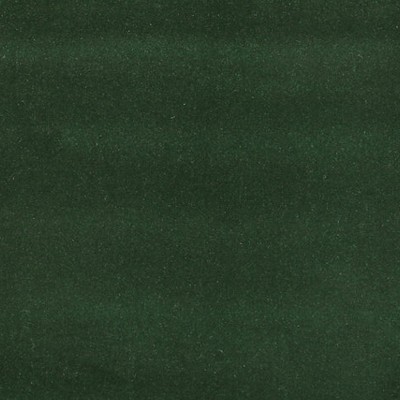 Scalamandre ARGO PINO