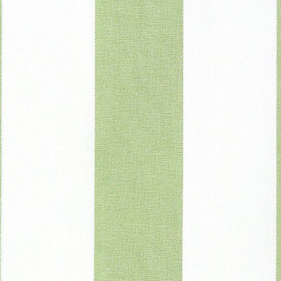 Old World Weavers POKER STRIPE LIME
