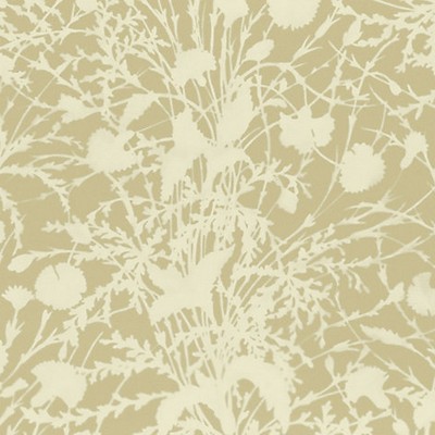 Grey Watkins WILDFLOWER OAT