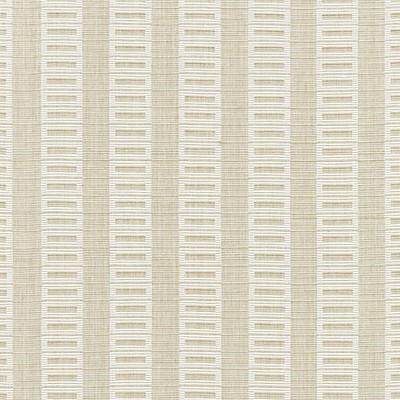 Grey Watkins LARK STRIPE SAND DOLLAR