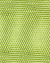 Grey Watkins Honeycomb Weave Kiwi Fabric