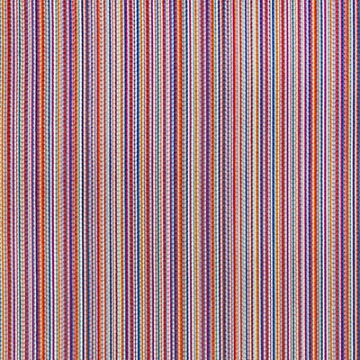 Grey Watkins ALDER STRIPE ZINNIA