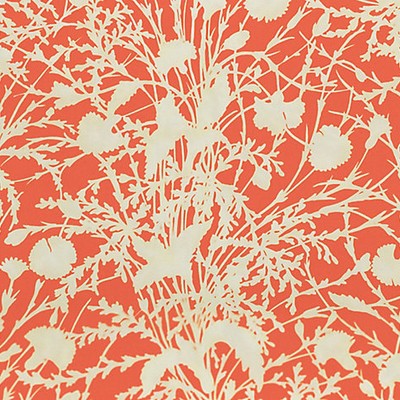 Grey Watkins WILDFLOWER GUAVA