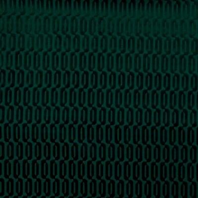 Scalamandre TYPO M1 FORET