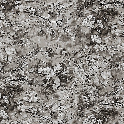 Scalamandre SAKURA TAPESTRY NATUREL