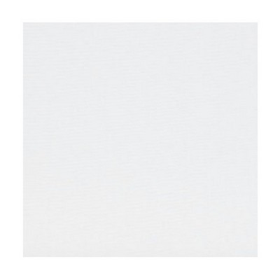 Scalamandre SILK VIRTUOSE BLANC