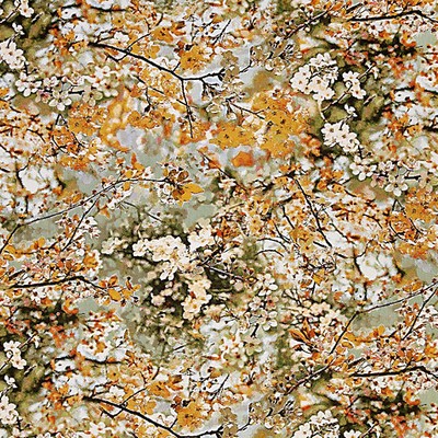 Scalamandre SAKURA TAPESTRY DORE