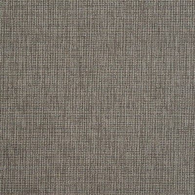 Scalamandre MANGROVE M1 ARDOISE