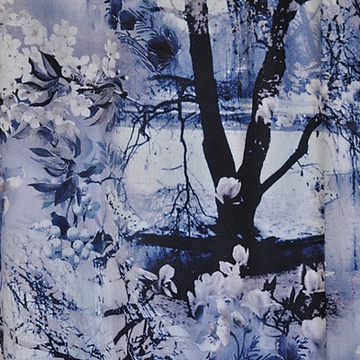 Scalamandre VAGABOND ENCRE