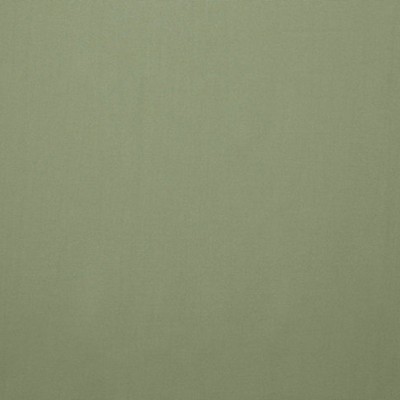 Scalamandre ALTO M1 SAUGE