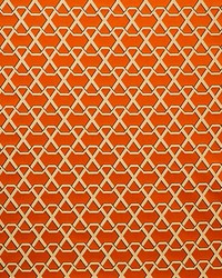 Scalamandre Ribon Kumquat Fabric