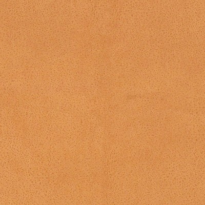 Scalamandre WESTERN ANTILOPE