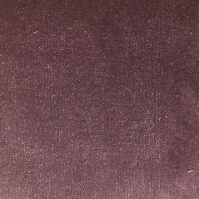 Scalamandre SULTAN M1 GLYCINE