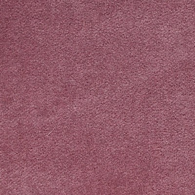 Scalamandre COSMOS FIGUE