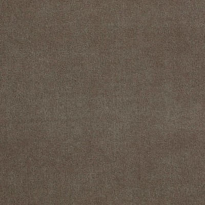 Scalamandre FUJI VELOUR MASTIC
