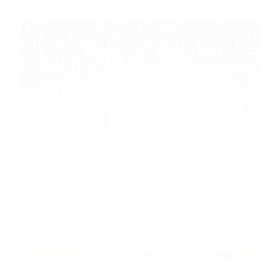 Scalamandre EMOTION BLANC