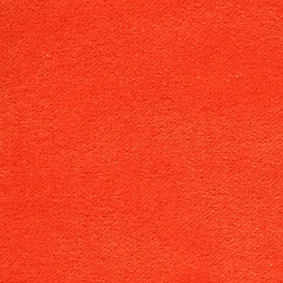 Scalamandre COSMOS CAPUCINE