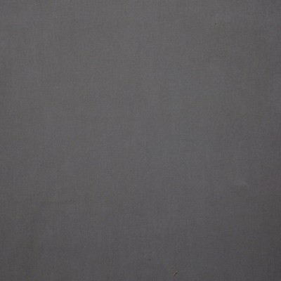 Scalamandre TOUCAN ARGILE