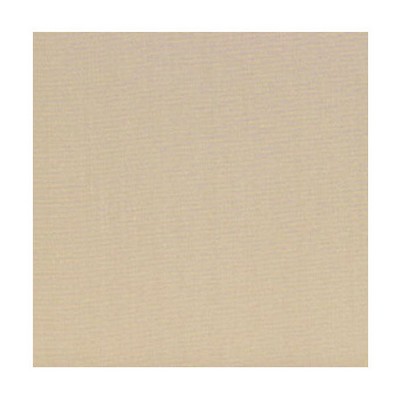 Scalamandre SILK VIRTUOSE MASTIC