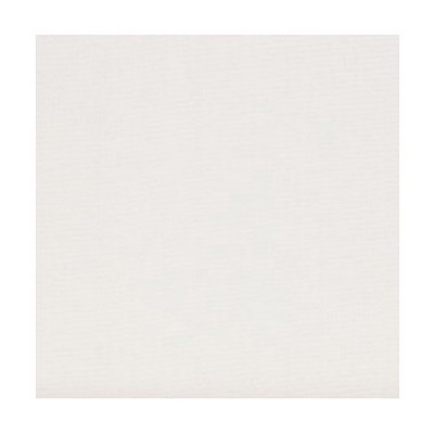 Scalamandre SILK VIRTUOSE ALBATRE