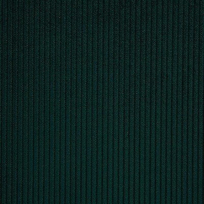 Scalamandre RIGA M1 CANARD