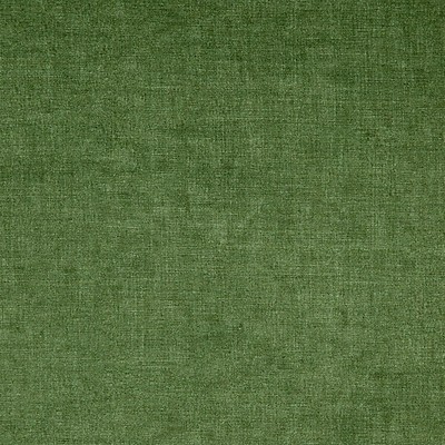 Scalamandre SMART ALOES