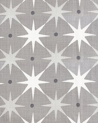 Scalamandre Star Power Grey Fabric