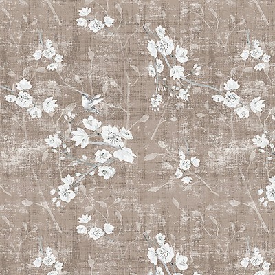 Scalamandre BLOSSOM FANTASIA-SHEER MOCHA