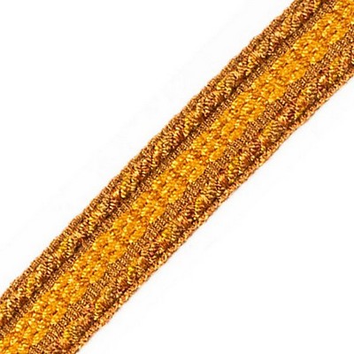 Scalamandre Trim GALON CHAINETTE TAPE A GLAISE