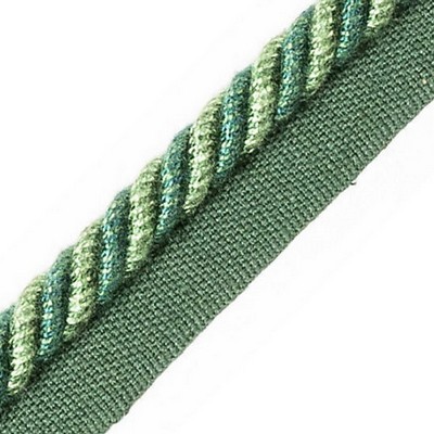 Scalamandre Trim FRANGE TORSE CABLE WITH TAPE B SAPIN