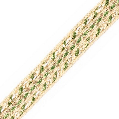 Scalamandre Trim GALON CHAINETTE TAPE B OASIS