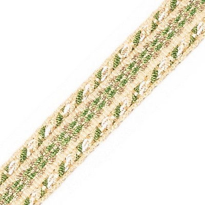 Scalamandre Trim GALON CHAINETTE TAPE A OASIS