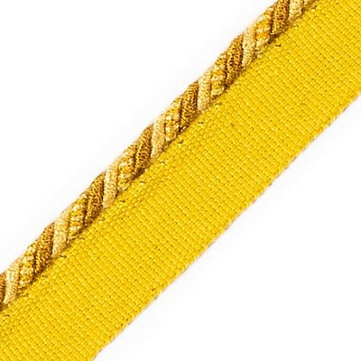 Scalamandre Trim CORD WITH TAPE CASTOR