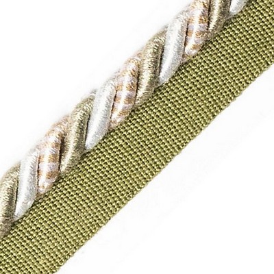 Scalamandre Trim SAFARI CORD WITH TAPE B PEWTER