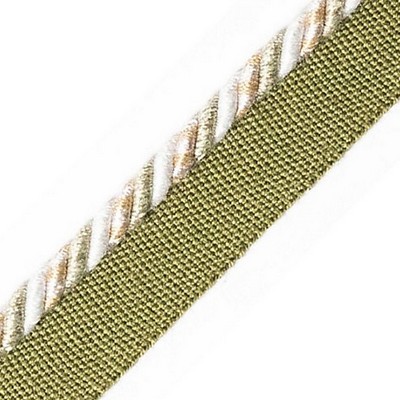 Scalamandre Trim SAFARI CORD WITH TAPE C PEWTER