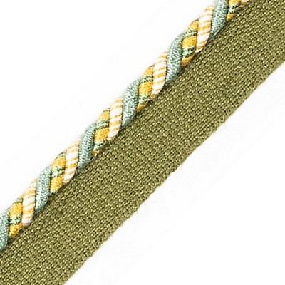 Scalamandre Trim SAFARI CORD WITH TAPE C SEAFOAM/GOLD