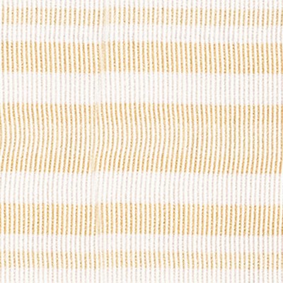 Scalamandre Trim BAYADERE TAPE C COQUILLE