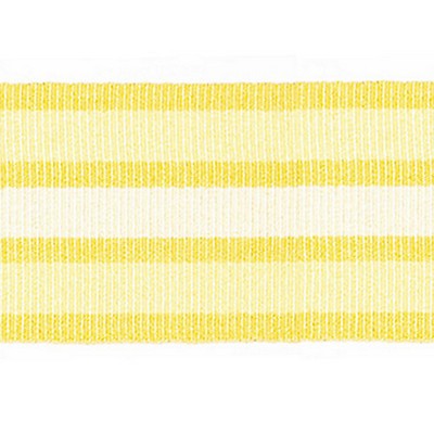 Scalamandre Trim BAYADERE TAPE B MAIS