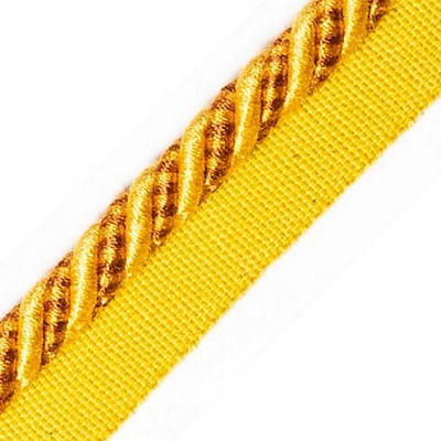 Scalamandre Trim BAYADERE CORD WITH TAPE B SOLEIL