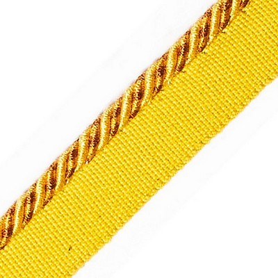 Scalamandre Trim BAYADERE CORD WITH TAPE C SOLEIL