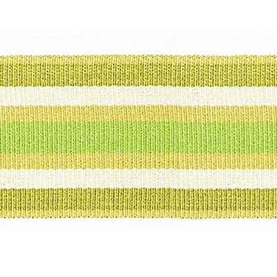 Scalamandre Trim BAYADERE TAPE B FOUGERE