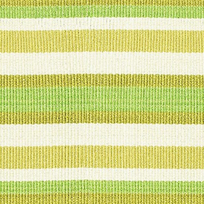 Scalamandre Trim BAYADERE TAPE C FOUGERE